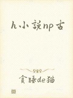 h小说np古
