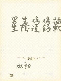 男生鸡鸡插入女生阴道的软件