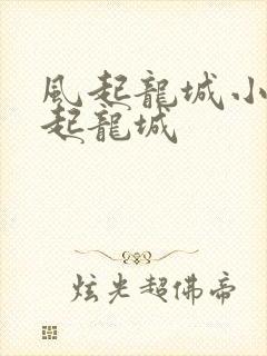 风起龙城小说风起龙城