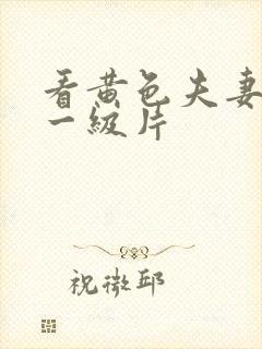 看黄色夫妻生活一级片