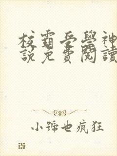 校霸受学神攻小说免费阅读