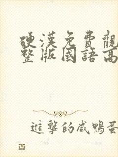 硬汉免费观看完整版国语高清封面