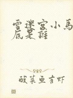 雪迷宫小马哥到底是谁