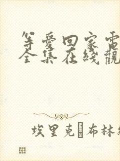 等爱回家电视剧全集在线观看免费