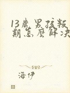 13岁男孩叛逆期怎么解决