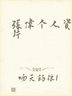 张伟个人资料照片