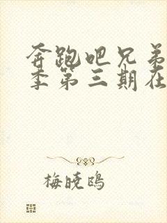 奔跑吧兄弟第五季第三期在线观看