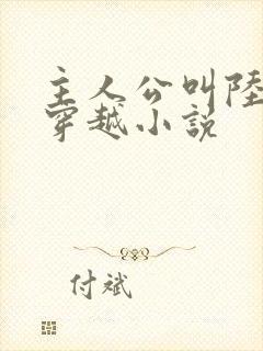 主人公叫陆羽的穿越小说