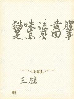 猫咪流黄脓鼻涕是怎么回事