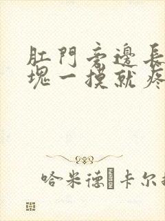 肛门旁边长了肿块一摸就疼怎么回事