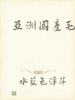 亚洲国产毛一片