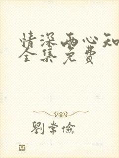 情深两心知短剧全集免费