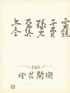 冬至孙千电视剧全集免费观看