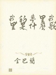 我的梦里我的心里是什么歌封面