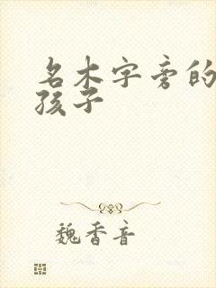 名木字旁的字男孩子