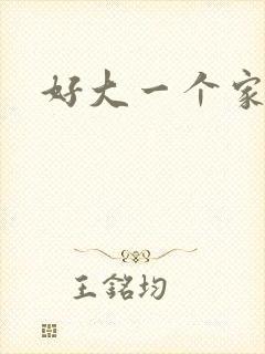 好大一个家尤优