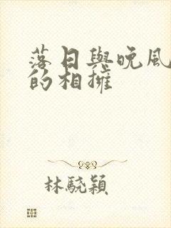 落日与晚风深情的相拥