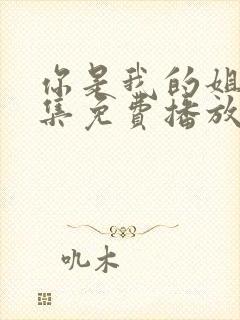 你是我的姐妹全集免费播放电视剧