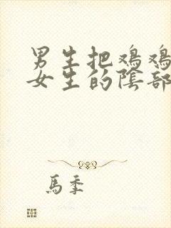 男生把鸡鸡插入女生的阴部