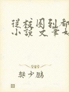 从校园到都市的小说 文笔好