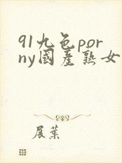 91九色porny国产熟女