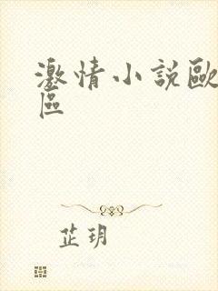 激情小说欧美一区封面