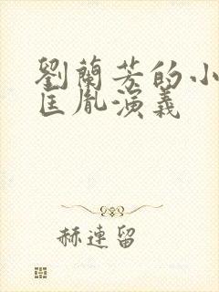 刘兰芳的小说赵匡胤演义