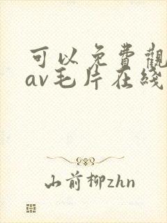 可以免费观看的av毛片在线观看