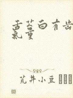 舌苔白有齿痕湿气重