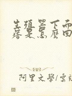 生殖器下面有疙瘩是怎么回事