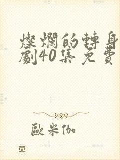 灿烂的转身电视剧40集免费观看全集