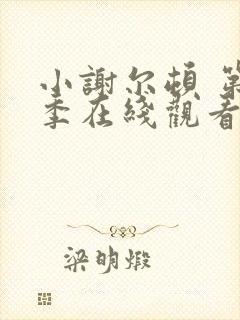 小谢尔顿 第一季在线观看