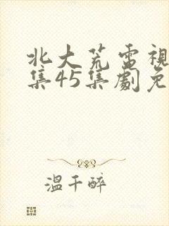 北大荒电视剧全集45集剧免费观看