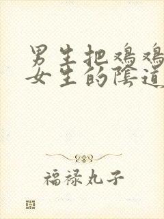 男生把鸡鸡插入女生的阴道