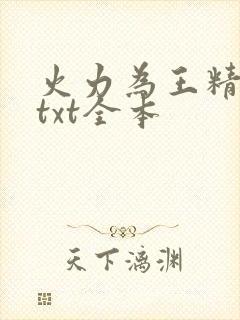 火力为王精校版txt全本封面