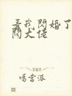 看我闪婚了个财阀大佬封面