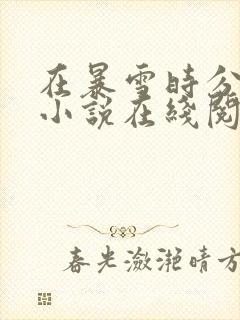 在暴雪时分原著小说在线阅读