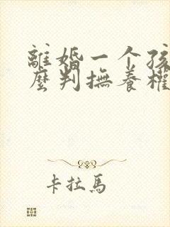 离婚一个孩子怎么判抚养权抚养费