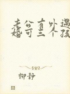 老公有外遇想离婚可三个孩子怎么办