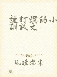 被打烂的小屁股训诫文封面