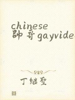 chinese帅哥gayvideo