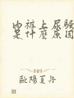 内裤上尿骚味重是什么原因女