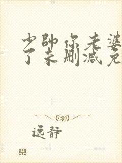 少帅你老婆又跑了未删减免费阅读