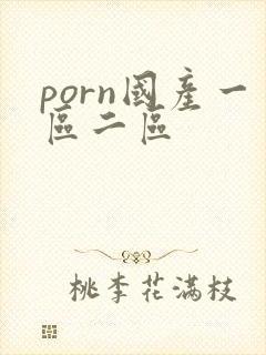 porn国产一区二区