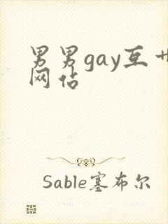 男男gay互艹网站