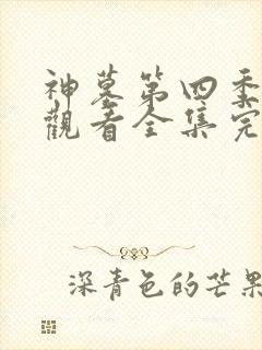神墓第四季免费观看全集完整版高清