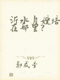 沂水月嫂培训班在哪里?