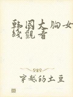 韩国大胸女友在线观看封面