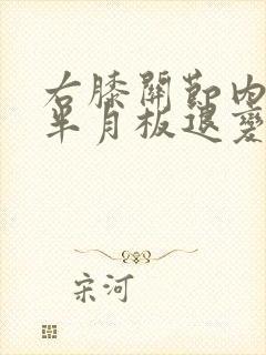 右膝关节内外侧半月板退变