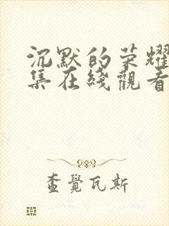 沉默的荣耀34集在线观看